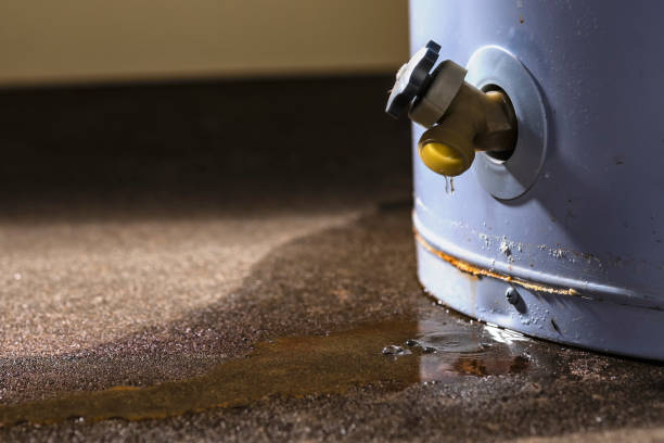 Best Carpet water damage restoration  in San Dimas, CA
