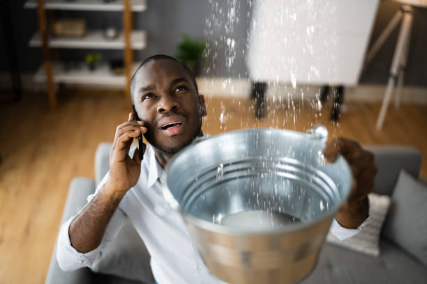Best Water damage cleanup near me  in San Dimas, CA