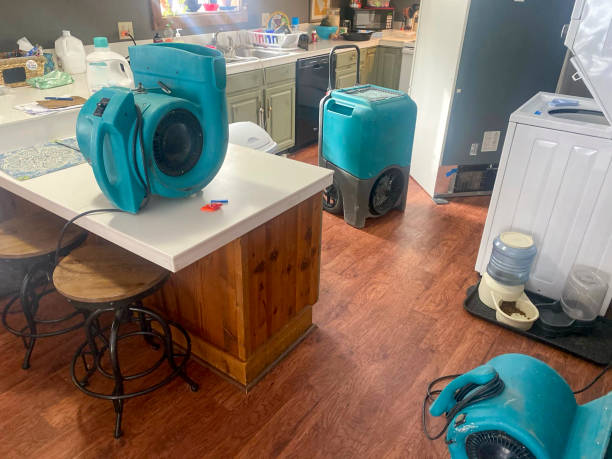 Best Residential water damage restoration  in San Dimas, CA