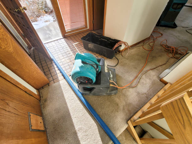 Best Water damage restoration mold remediation  in San Dimas, CA
