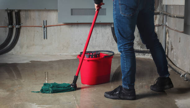 Best Basement water damage restoration  in San Dimas, CA