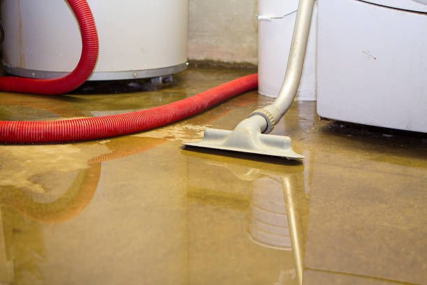 Water damage restoration mold remediation in CA