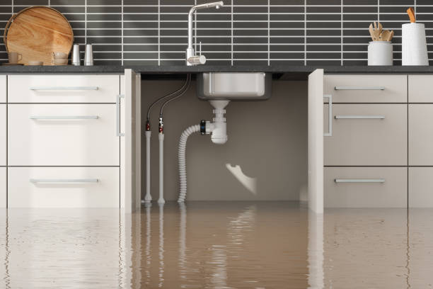 Best 24/7 water damage repair  in San Dimas, CA