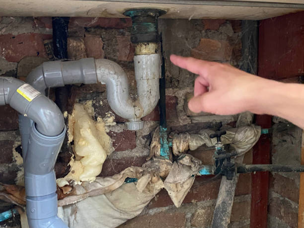 Best 24-hour water damage restoration  in San Dimas, CA