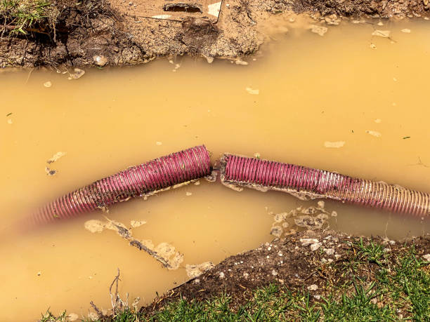 Best Water damage restoration cost  in San Dimas, CA