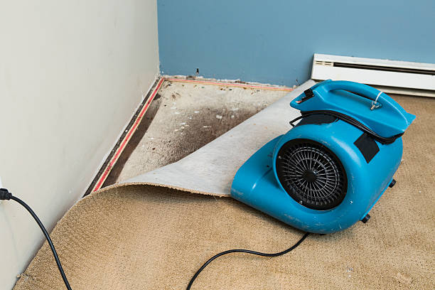 Best Flood restoration services  in San Dimas, CA